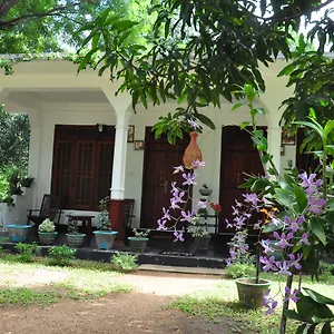 https://sigiriya-flower-guest.kandyhotelsnow.com